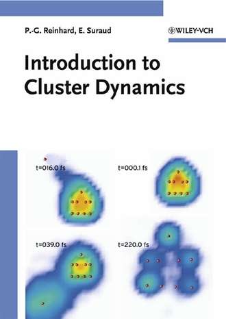 Paul-Gerhard  Reinhard. Introduction to Cluster Dynamics