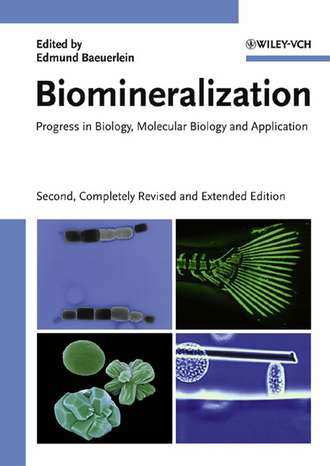 Группа авторов. Biomineralization