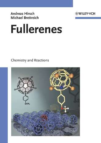 Andreas  Hirsch. Fullerenes