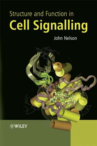 Группа авторов. Structure and Function in Cell Signalling