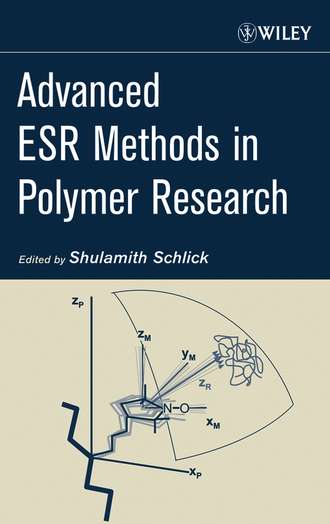 Shulamith  Schlick. Advanced ESR Methods in Polymer Research