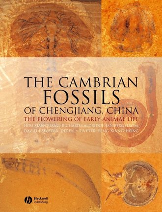 Jan  Bergstrom. The Cambrian Fossils of Chengjiang, China