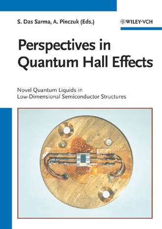 Aron  Pinczuk. Perspectives in Quantum Hall Effects