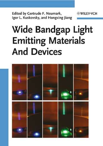 Hongxing  Jiang. Wide Bandgap Light Emitting Materials And Devices