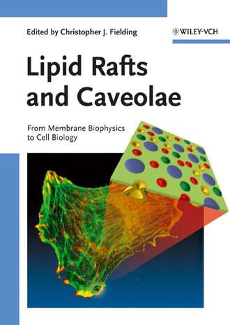 Christopher Fielding J.. Lipid Rafts and Caveolae