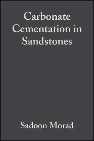 Sadoon  Morad. Carbonate Cementation in Sandstones