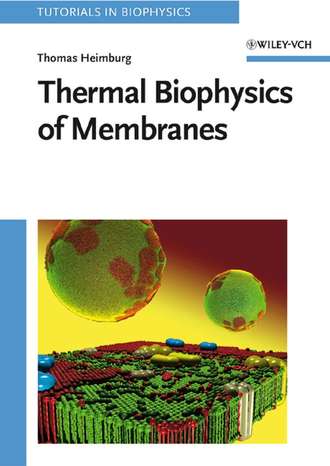 Thomas  Heimburg. Thermal Biophysics of Membranes