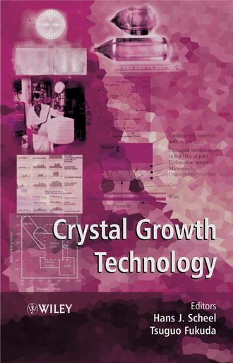 Tsuguo  Fukuda. Crystal Growth Technology