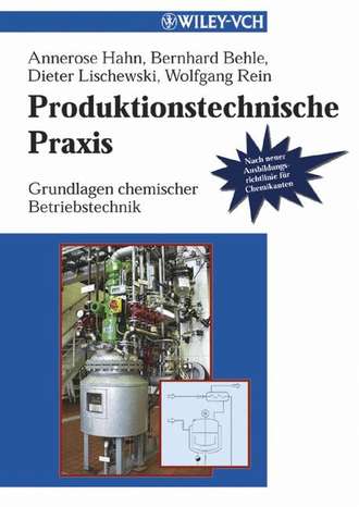 Annerose  Hahn. Produktionstechnische Praxis