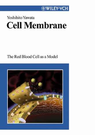 Yoshihito  Yawata. Cell Membrane