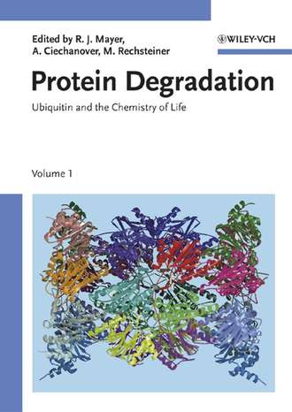 Martin  Rechsteiner. Protein Degradation