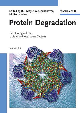 Martin  Rechsteiner. Protein Degradation