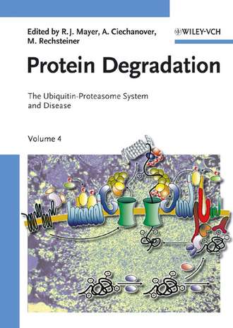 Martin  Rechsteiner. Protein Degradation