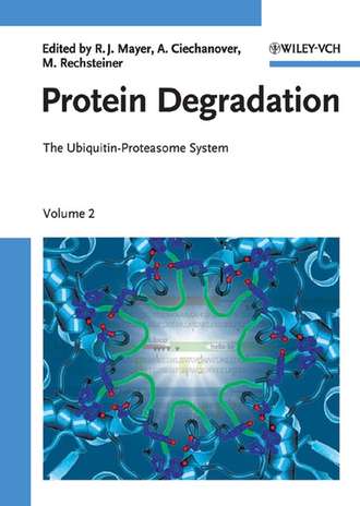 Martin  Rechsteiner. Protein Degradation