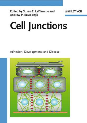 Andrew Kowalczyk P.. Cell Junctions