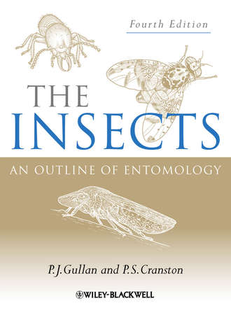 P. Gullan J.. The Insects