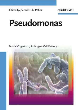 Bernd H. A. Rehm. Pseudomonas