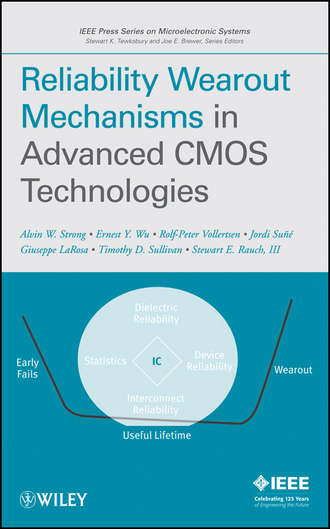 Rolf-Peter  Vollertsen. Reliability Wearout Mechanisms in Advanced CMOS Technologies