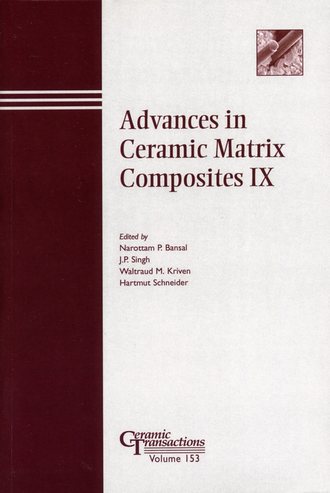 Hartmut  Schneider. Advances in Ceramic Matrix Composites IX