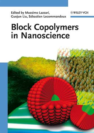 Massimo  Lazzari. Block Copolymers in Nanoscience