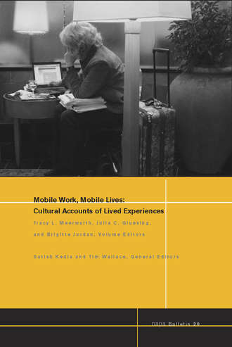 Satish  Kedia. Mobile Work, Mobile Lives