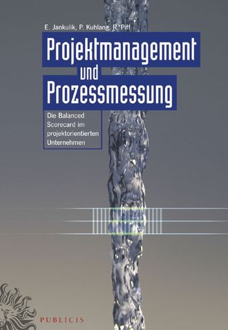 Roland  Piff. Projektmanagement und Prozessmessung