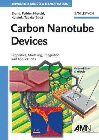 Oliver  Brand. Carbon Nanotube Devices