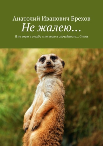 Анатолий Иванович Брехов. Не жалею… Я не верю в судьбу и не верю в случайность… Стихи