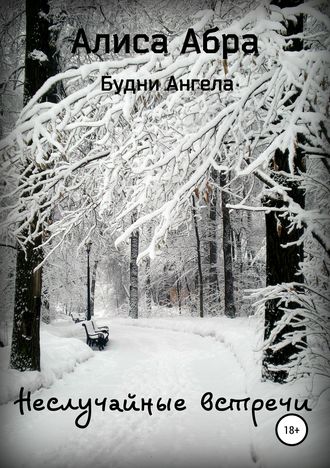 Обложка книги «Неслучайные встречи»