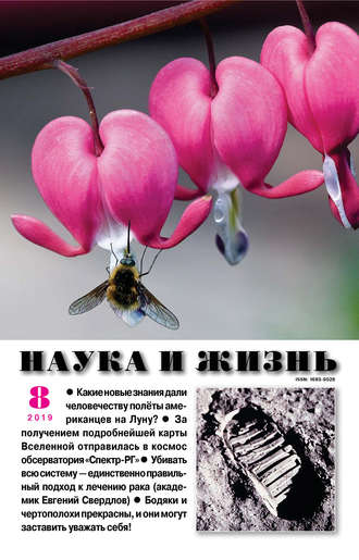 Обложка книги «Наука и жизнь №08/2019»