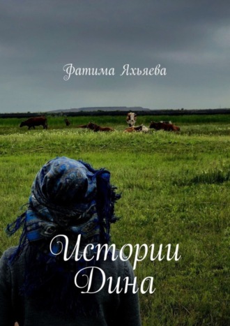 Обложка книги «Истории Дина»