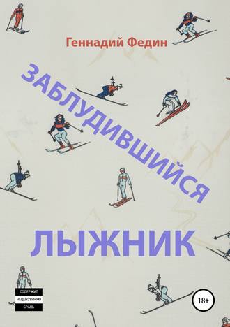 Обложка книги «Заблудившийся лыжник»