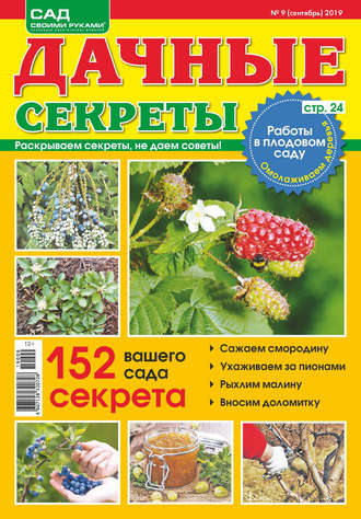 Обложка книги «Сад своими руками. Дачные секреты №09/2019»