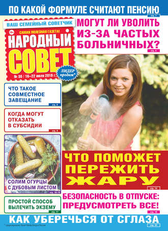 Обложка книги «Народный совет №30/2019»