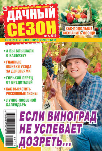 Обложка книги «Дачный сезон №07/2019»