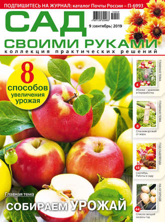 Обложка книги «Сад своими руками №09/2019»