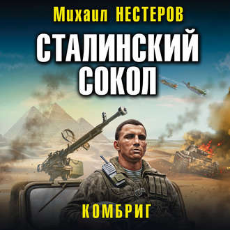 Обложка книги «Сталинский сокол. Комбриг»