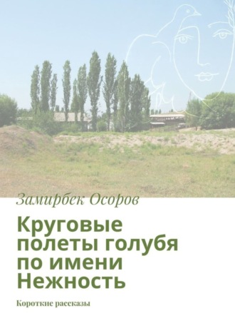 Обложка книги «Круговые полеты голубя по имени Нежность. Короткие рассказы»
