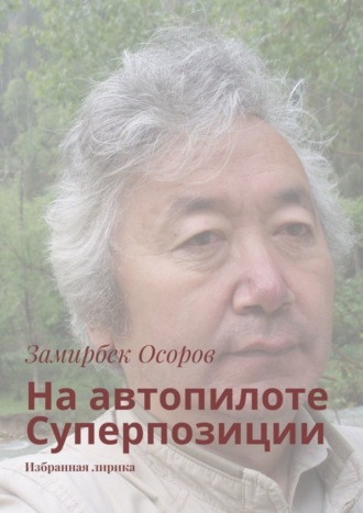 Обложка книги «На автопилоте Суперпозиции. Избранная лирика»