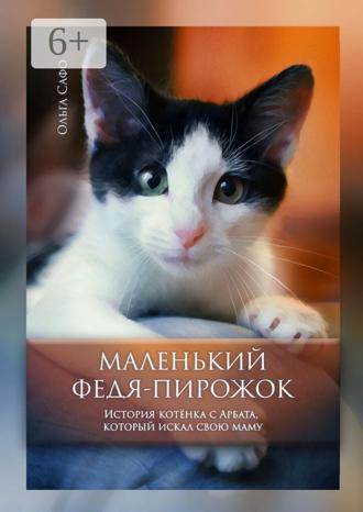 Обложка книги «Маленький Федя-Пирожок. История котёнка с Арбата, который искал свою маму»