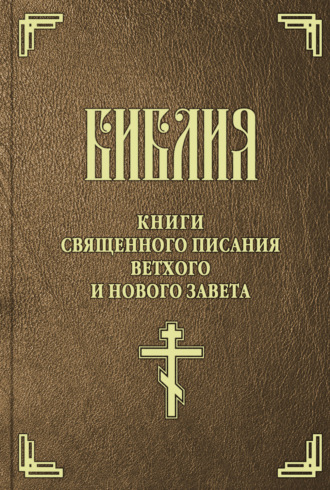 Обложка книги «Библия. Книги Священного Писания Ветхого и Нового Завета»