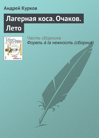 Андрей Курков. Лагерная коса. Очаков. Лето