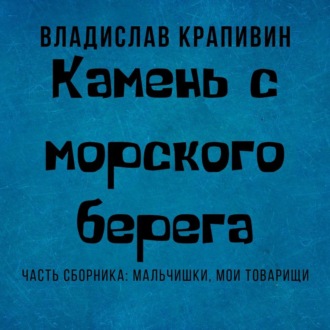 Обложка книги «Камень с морского берега»