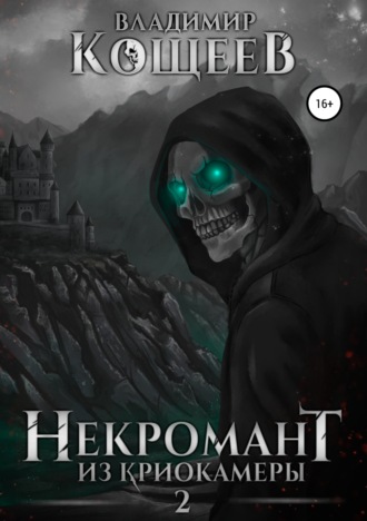 Обложка книги «Некромант из криокамеры 2»