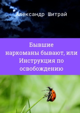 Александр Шитрай. Бывшие наркоманы бывают, или Инструкция по освобождению