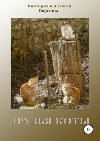 Обложка книги «Друзья коты»