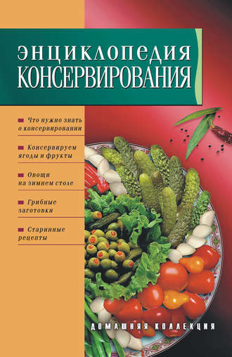 Группа авторов. Энциклопедия консервирования