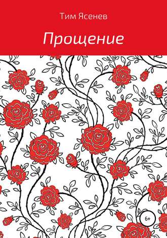 Обложка книги «Прощение»