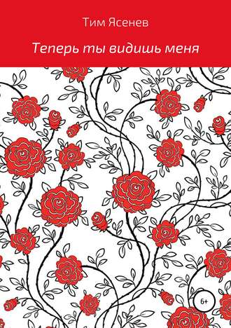 Обложка книги «Теперь ты видишь меня»