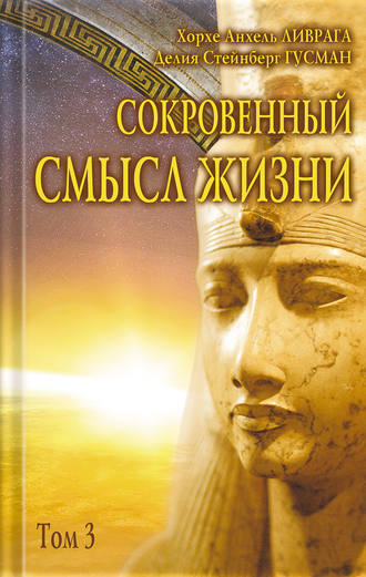 Обложка книги «Сокровенный смысл жизни. Том 3»